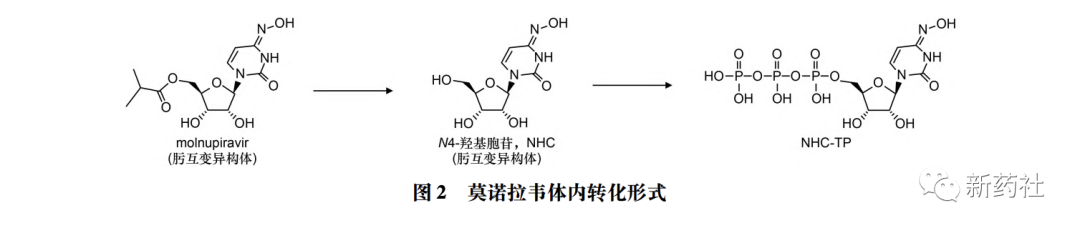 全球8种新冠药物进展速览